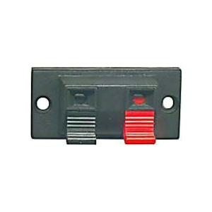 25556